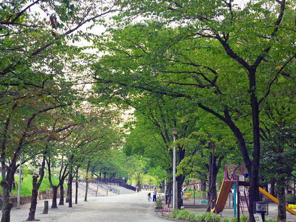 Surrounding environment. Sumida Park (a 3-minute walk ・ About 170m)