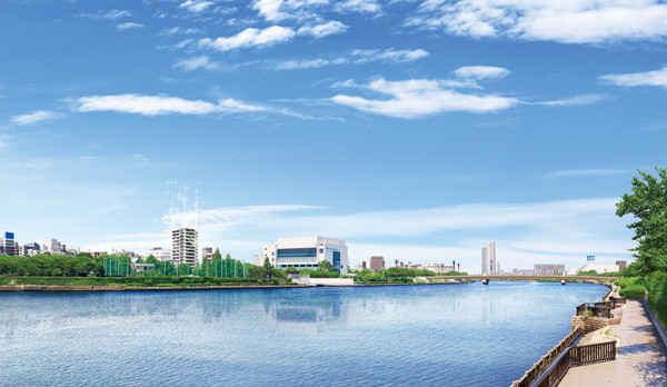 Surrounding environment. Local birth to calm living environment recessed one step from near street degree in Sumida. South-facing residence to take advantage of the openness of the south to fully. (Exterior view)