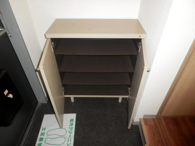 Receipt. Footwear input