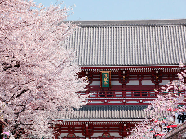 Surrounding environment. Sensoji Temple (about 500m / 7-minute walk)