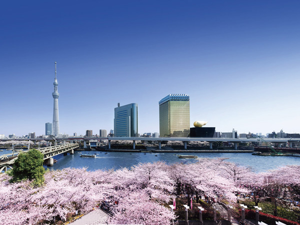 Surrounding environment. Separated by a road Sumida Park, it was also selected in the "100 best Japan Sakura attractions", Sumida River, which was sung in the spring of singing in the earlier. It is possible to view fireworks from the balcony.  ※ View from the local sixth floor equivalent. (April 2012 shooting)