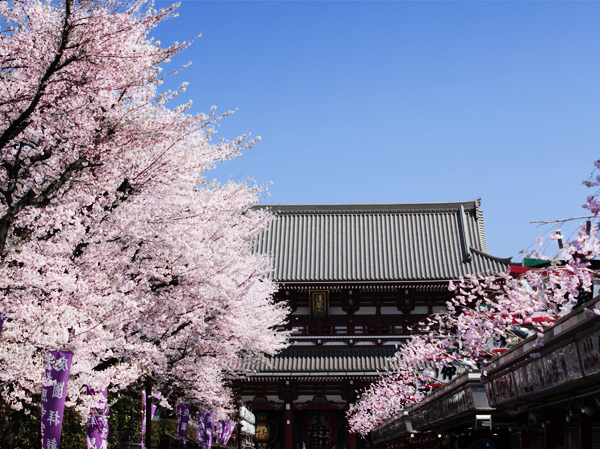 Surrounding environment. Essence and humanity. Vibrant this city, Attract the people at any time of the era.  ※ Sensoji Temple (7 min walk / About 500m)