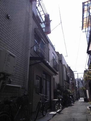 Local land photo. appearance