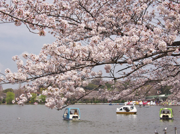 Surrounding environment. Ueno Park (about 1930m / A 25-minute walk)