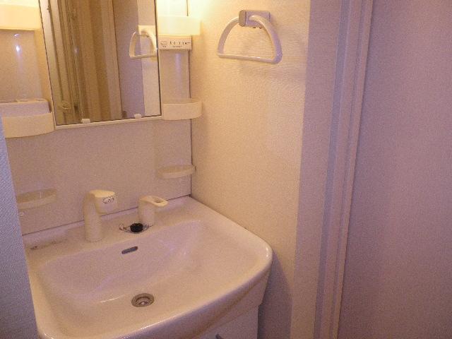 Washroom. With happy shampoo dresser