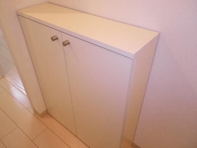 Receipt. With a shoe box