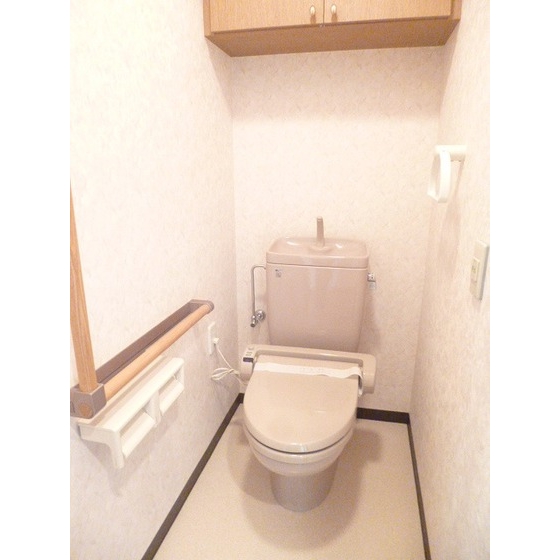 Toilet. Toilet