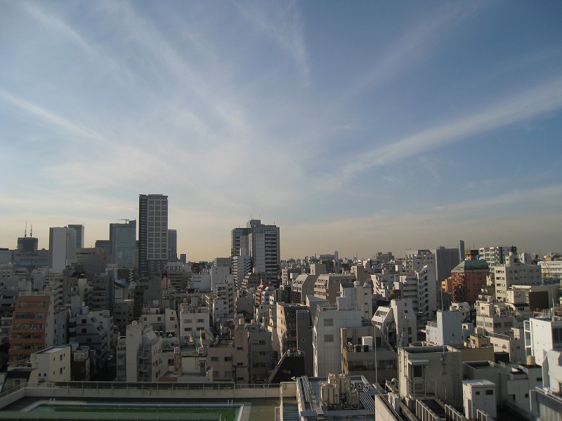 View. Is the view from the 11th floor