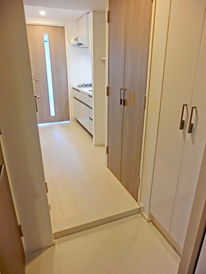 Entrance. Entrance hall