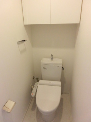 Toilet. It is with a cleaning toilet seat