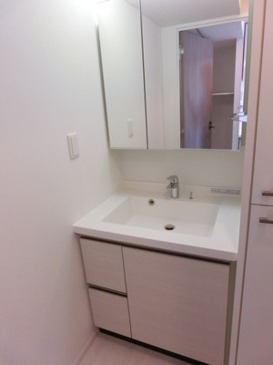 Washroom. I'm glad large washbasin