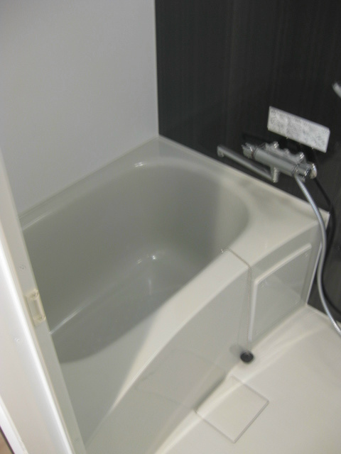 Bath. Bathing with cleanliness with bathroom dryer