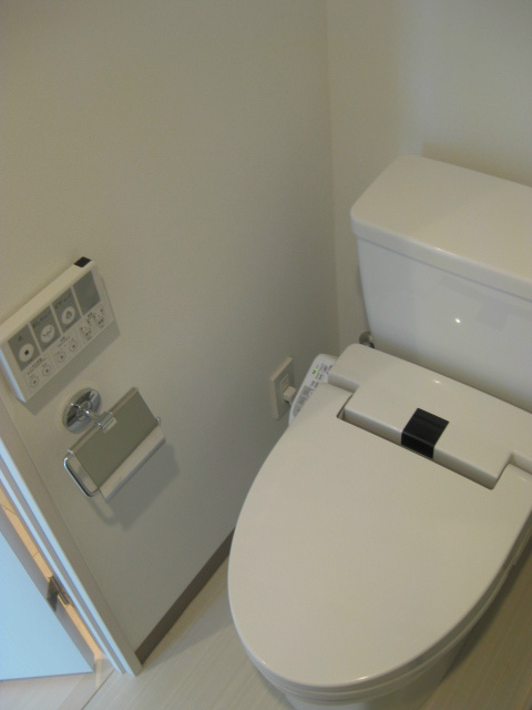 Toilet. Hot water cleaning function toilet seat