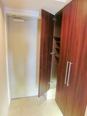 Entrance. Ceiling height shoe closet