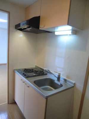 Kitchen. Two-burner gas system Kitchen