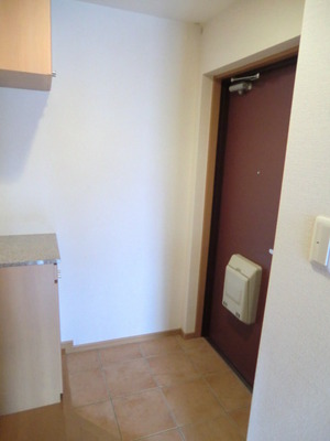 Entrance. Shoes with BOX