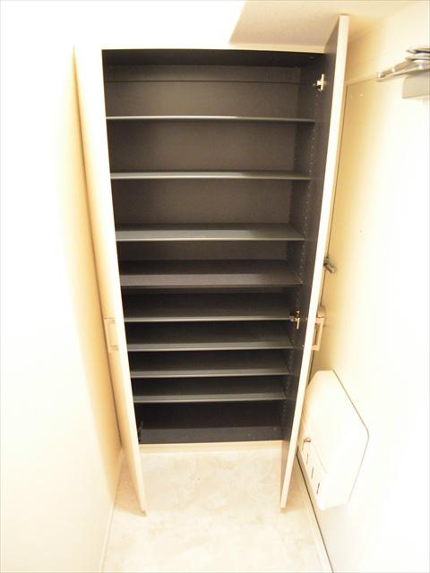 Entrance. You can hold a lot of shoes