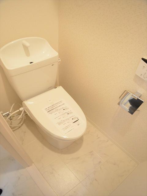 Toilet. Shower toilet