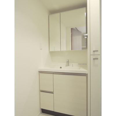 Other. Easy-to-use to make and wash basin has a large mirror.