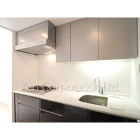 Kitchen. Shoot the same type the fifth floor of the room. Specifications may be different.