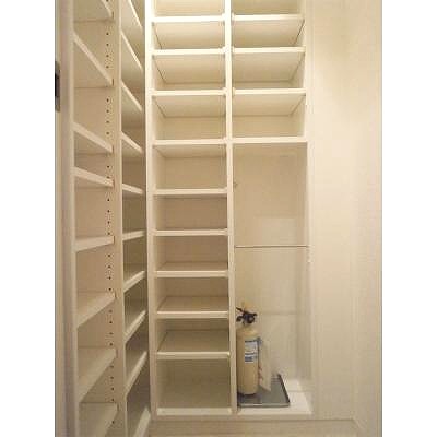 Entrance. Shoes-in closet