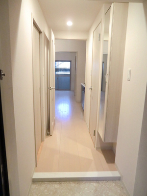 Entrance. Entrance space