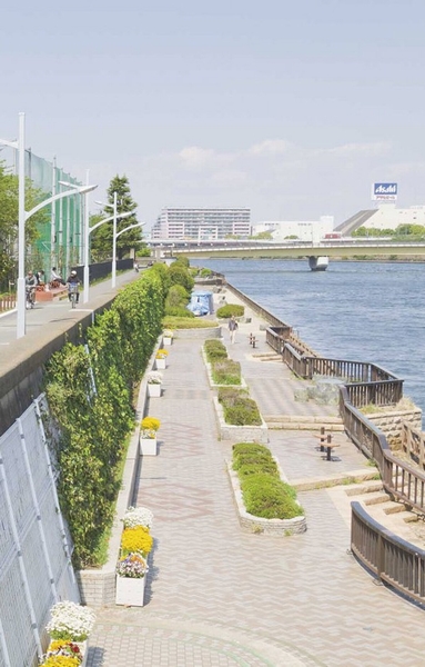 Other.  [Sumida Park] (7 min walk / About 560m) lovely cherry blossoms in spring, Fully enjoy. The park has a marathon course, Coupled with the refreshing location along the Sumida River, It has become a popular spot