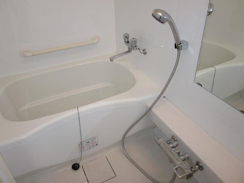 Bathroom. Indoor (10 May 2013) Shooting