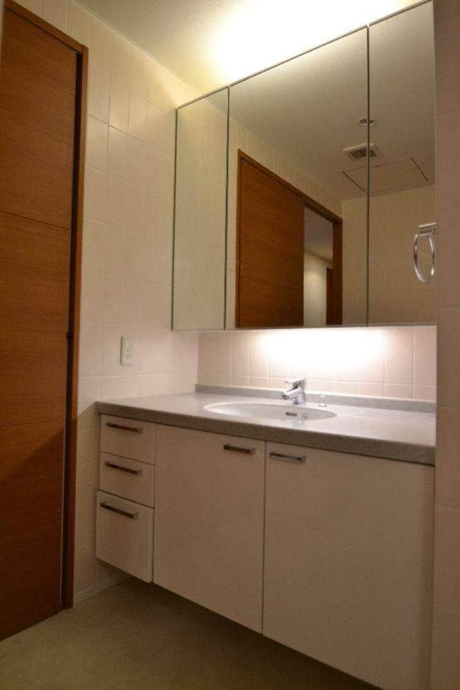 Wash basin, toilet. Bathroom vanity