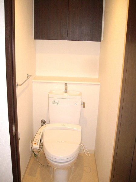 Toilet. Warm water washing toilet seat