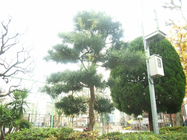 post office. Matsugaya 230m until the post office (post office)