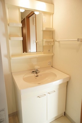 Washroom. Clean wash basin, There is a small window! 