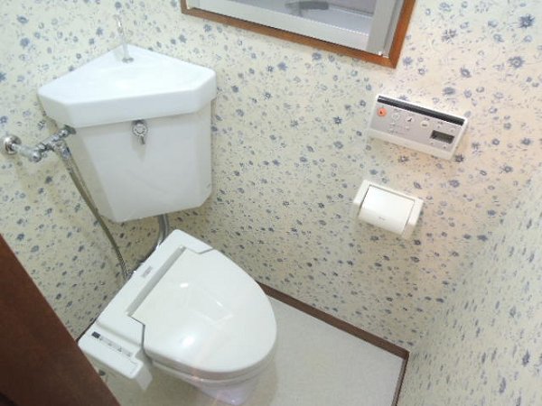 Toilet. Warm water washing toilet seat