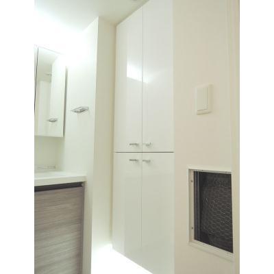 Washroom. Abundant basin of the storage.