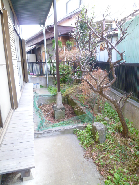 Garden. It is your garden