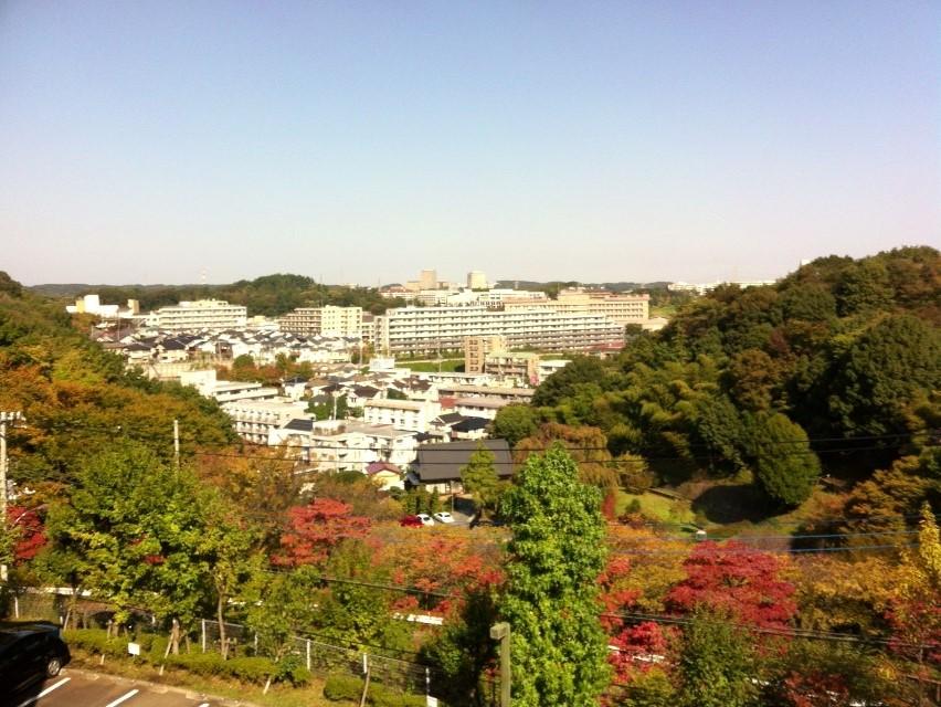 View photos from the dwelling unit. View from the site (October 2013) Shooting