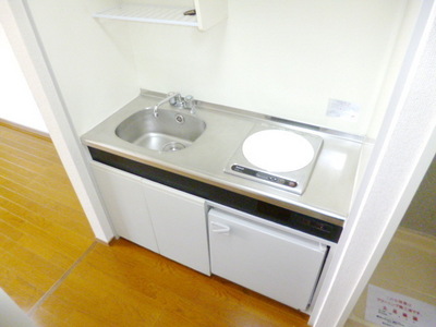 Kitchen. Peace of mind of the IH stove