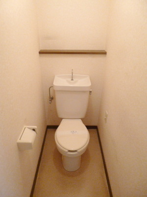 Toilet. Toilet with cleanliness