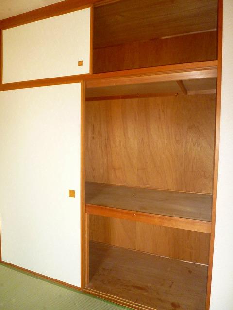 Non-living room. Storage can be a lot in the big closet.