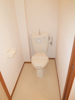 Toilet. Wide toilet