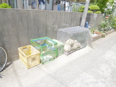 Other common areas. Garbage yard