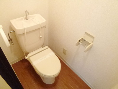 Toilet. Clean toilet