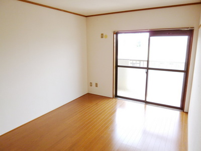 Living and room. Bright living room