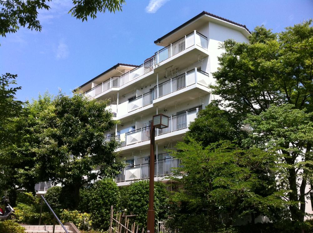 Local appearance photo. Local (June 2013) Shooting