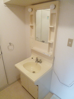 Washroom. Washbasin independence
