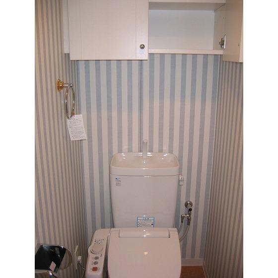 Toilet. New construction at the toilet