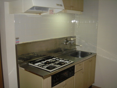 Kitchen. Longing of the system kitchen!