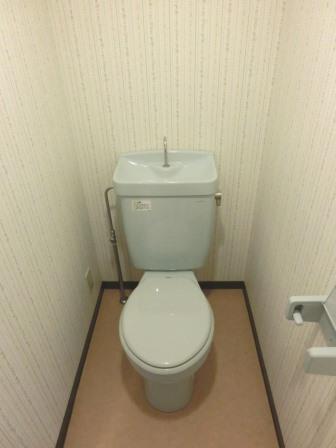 Toilet. Toilet