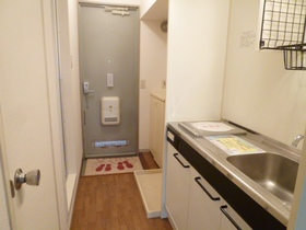 Kitchen. 1-neck IH stove