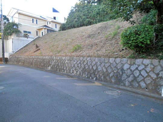 Local land photo. appearance